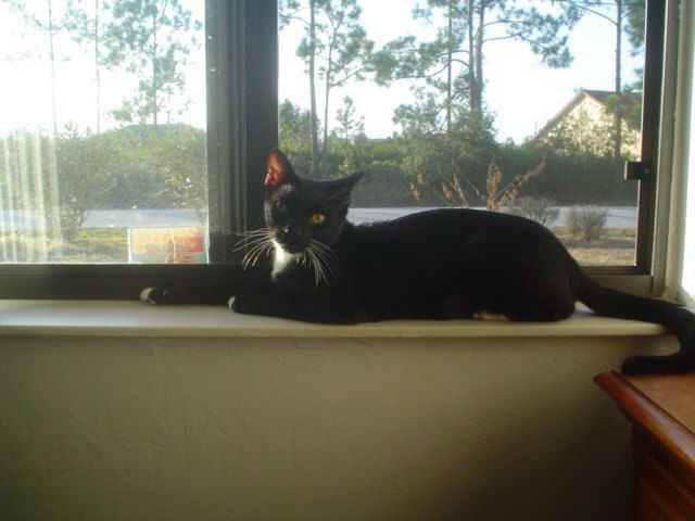 Igor Tarasov фото №42