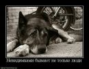 Ірчик Сонечко фотография #47 (источник - https://vk.com/id100171509)
