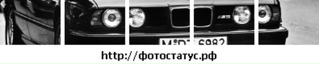 Сергій Мушка фотография #1