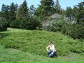 Наташа Єзерська фотография #35 (источник - https://vk.com/id35727607)