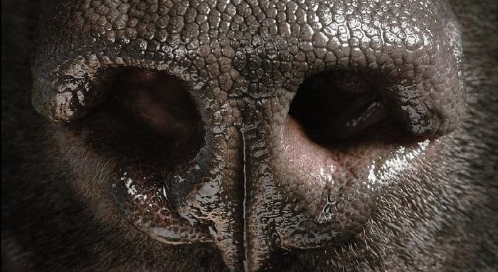 Слава Плут фотография #27