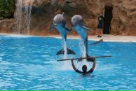 Александр Яковлев фотография #38 (источник - https://vk.com/id3848103)