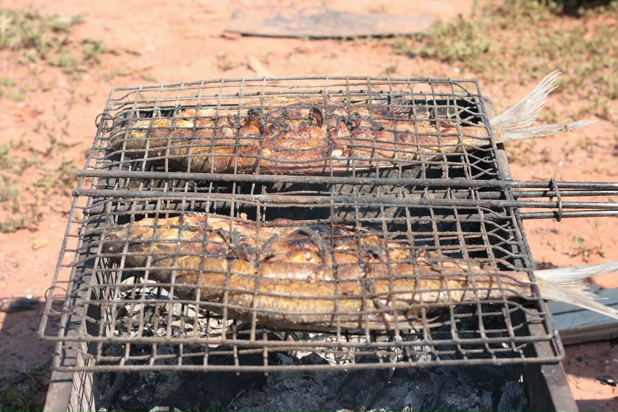 Аян Монгуш фотография #28