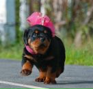 Фотография Крестовой Ольги