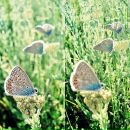 Даша Штіль фотография #36 (источник - https://vk.com/id49061669)