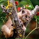 Фотография Барсуковой Елены