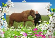 Фотография Демченковой Светланы