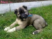 Женя Тимофійчук фотография #48 (источник - https://vk.com/id89248889)