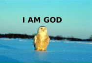 Ойра Ойра фотография #3 (источник - https://vk.com/id807590)