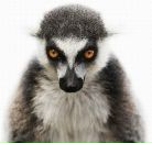 Фотография Fisch Михаила