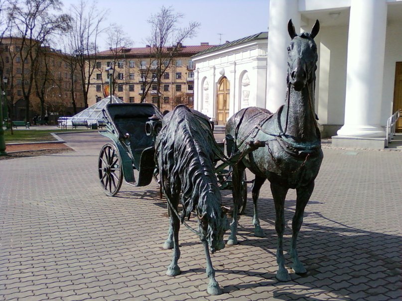 Дмитрий Мальцев фотография #45