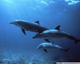 Фотография Морозовой Алены