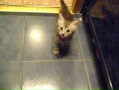 Полина Иванова фотография #6 (источник - https://vk.com/id402498)