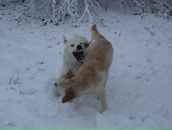 Фотография Талалаевой Анны