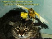 Фотография Лядовой Александры