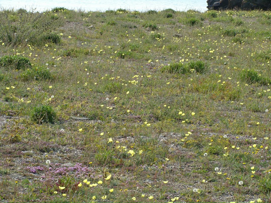 Игорь Богадевич фотография #17