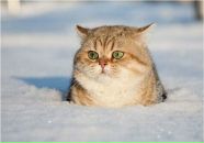 Фотография Друговского Алексея