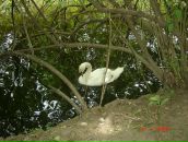 Дмитрий Ерохин фотография #34 (источник - https://vk.com/id77308762)