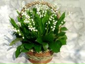 Фотография Богдеевой Марины