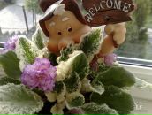 Фотография Калины Екатерины