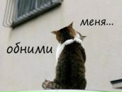 Фотография Гарина Александра