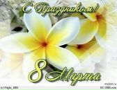 Фотография Бобровой Юлии