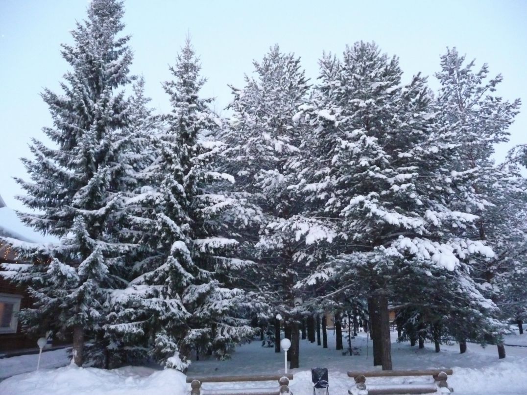 Мария Басина фотография #17