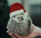 Фотография Кравцовой Александры