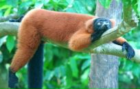 Фотография Луча Айнура