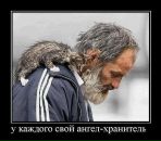 Софья Артюх фотография #19 (источник - https://vk.com/id462645)