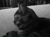 Фотография Аверьяновой Елены