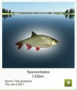 Максім Гончар фотография #33 (источник - https://vk.com/id48824433)
