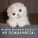 Віктор Михайлик фотография #29 (источник - https://vk.com/id51244688)