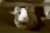 Фотография Соломатиной Галины