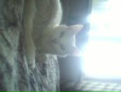 Фотография Краевой Владимир