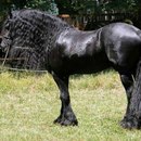 Аліна Козяр фотография #48 (источник - https://vk.com/id136411003)