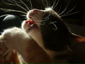 Фотография Ефимовой Анны