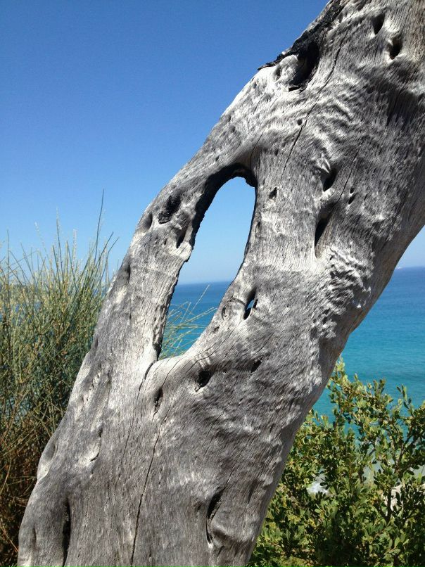 Слава Щербаков фотография #50