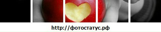 Свєта Слойка фотография #49 (источник - https://vk.com/id134601720)