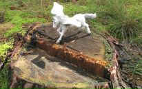 Марат Марсович фотография #6 (источник - https://vk.com/id595685)