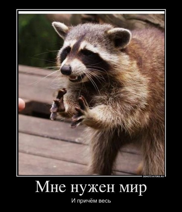 Матвей Крепак фотография #17