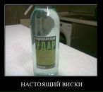 Фотография Потанина Алексея