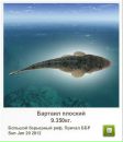 Андрій Орищак фотография #44 (источник - https://vk.com/id43615340)