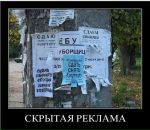 Junni :) фотография #25 (источник - https://vk.com/id141296253)