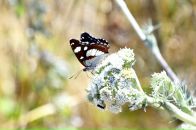 Фотография Кадыков Иван