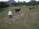 Люба Олексійчук фотография #45 (источник - https://vk.com/id147510531)