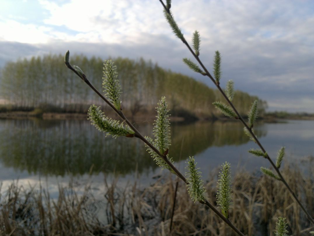 Иван Рудаков фотография #35