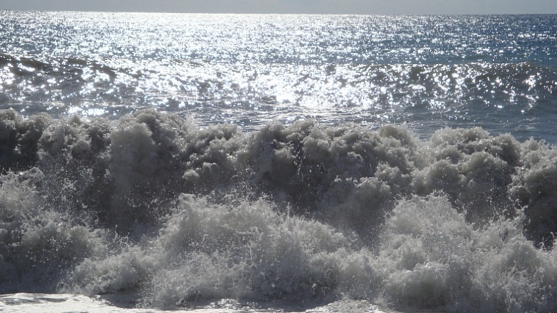 Дмитрий Расковалов фотография #39