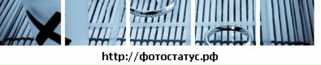 Аліна Пилипів фотография #46 (источник - https://vk.com/id38378846)