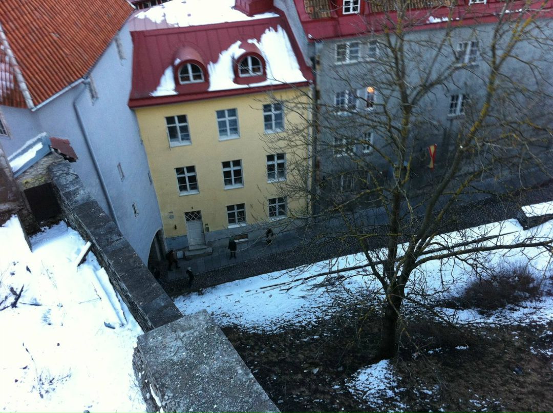 Антон Догадаев фотография #42